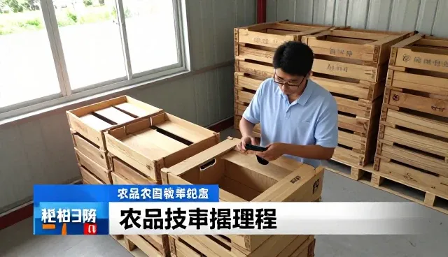 农产品包装破损问题对种植技术指导业务的影响与应对策略